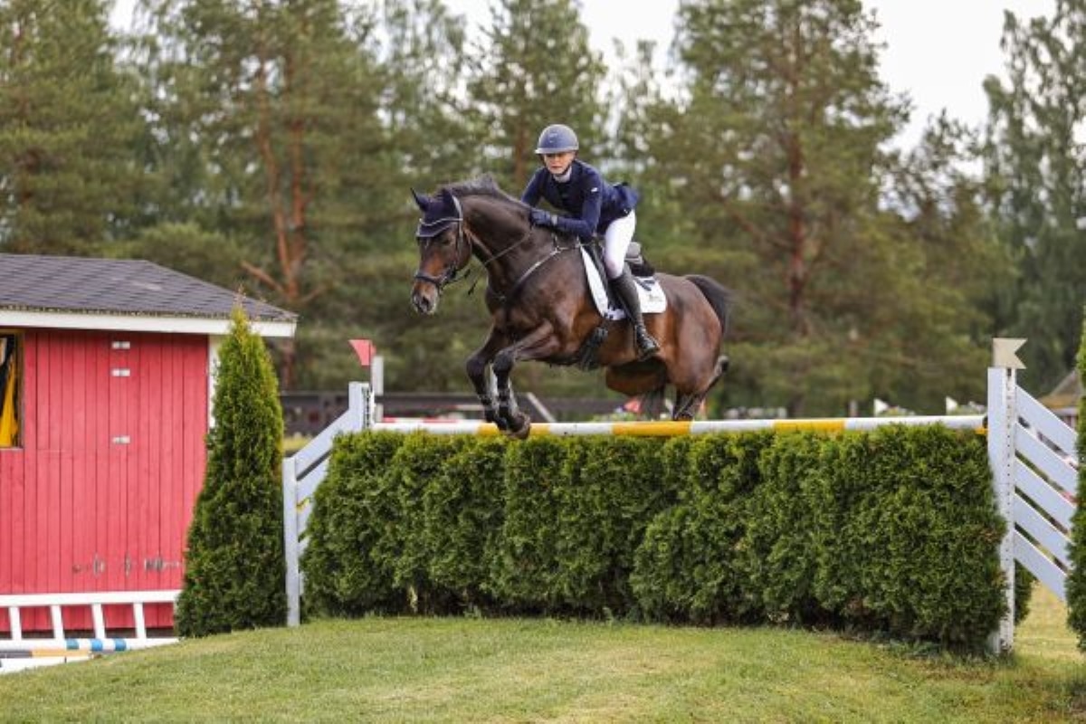 Hevosten rääkkääminen puhuttaa Pariisin olympialaisissa - "Hevosta pitää osata lukea" Hevosten rääkkääminen puhuttaa Pariisin olympialaisissa – “Hevosta pitää osata lukea”